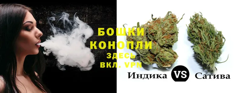 Канабис Bruce Banner  Истра 